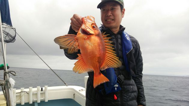 クリックすると大きな画像を表示します。