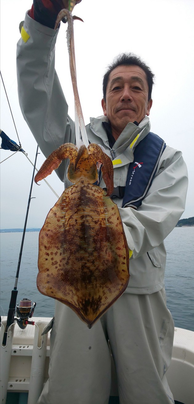 クリックすると大きな画像を表示します。