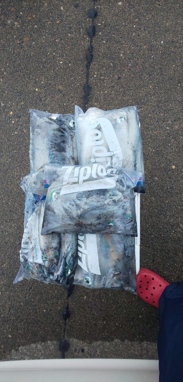 クリックすると大きな画像を表示します。